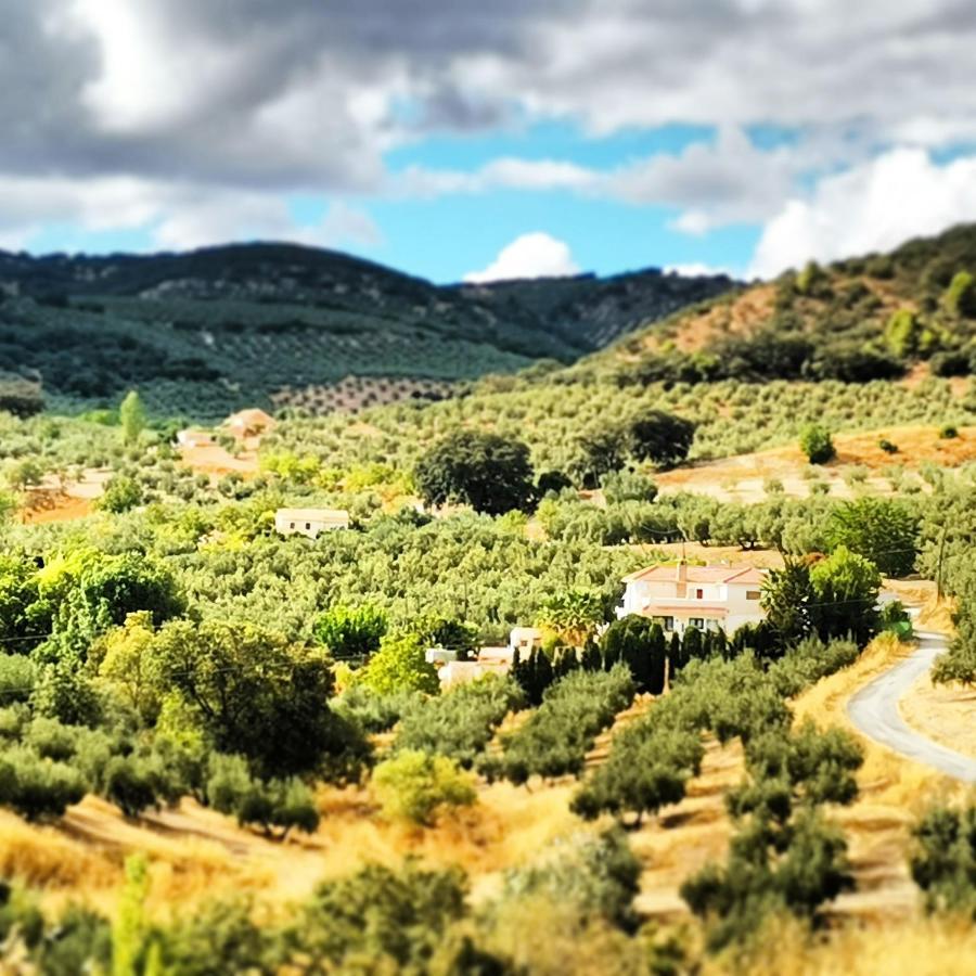 Cortijo Pennymaria Poolside Apartment Near Montefrio With Stunning Views Exterior foto
