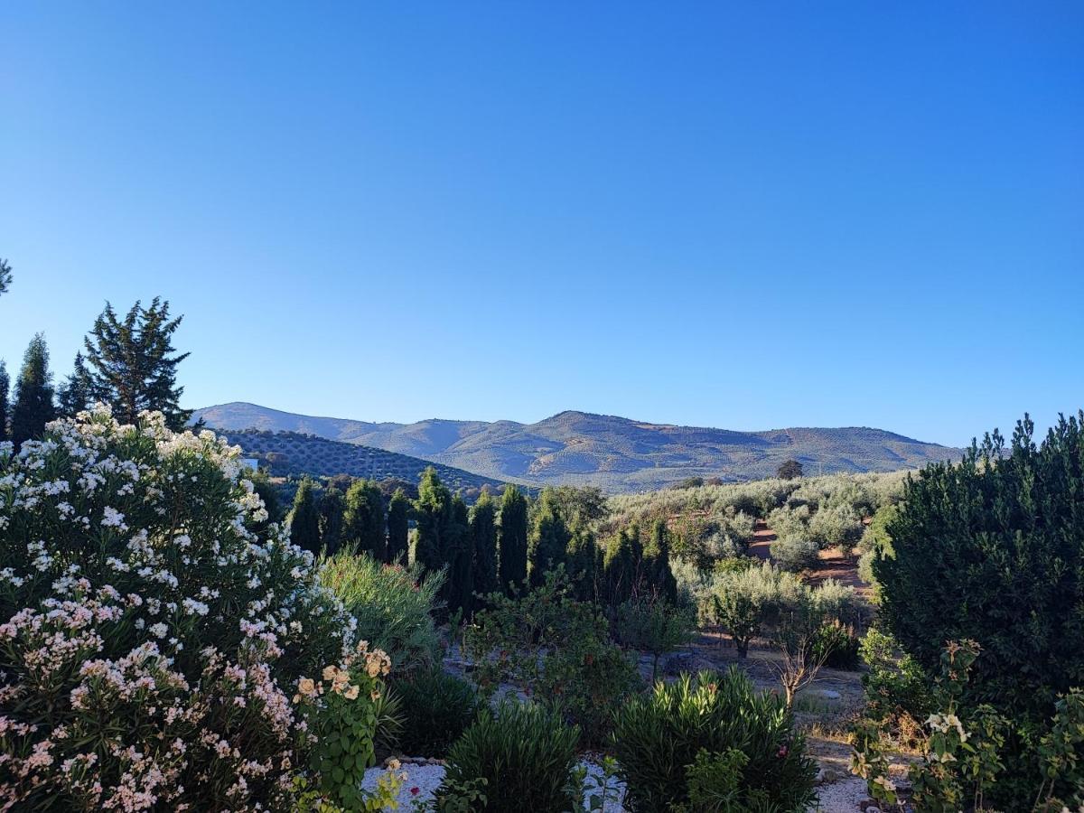 Cortijo Pennymaria Poolside Apartment Near Montefrio With Stunning Views Exterior foto